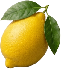Citrus Garden – vonná ingrediencia